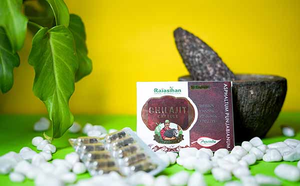 Rajasthan Aushdhalaya Shilajit Capsule10